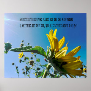 poster verso bíblia, as flores crescem com Deus.