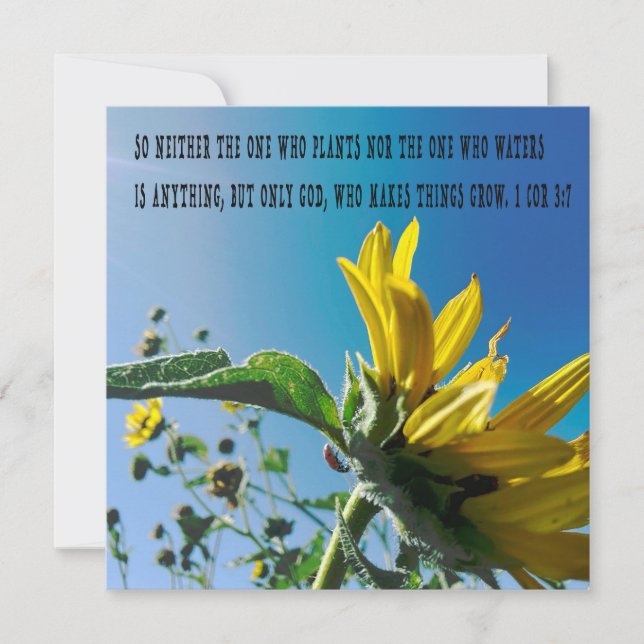 poster verso bíblia, as flores crescem com Deus. (Frente)