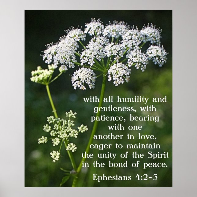 Póster Verso bíblia sobre os Ephesianos do Amor 4:2-3 Pos (Frente)