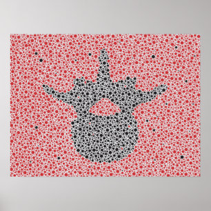 Poster Vértebras lombares dos trabalhos de arte da