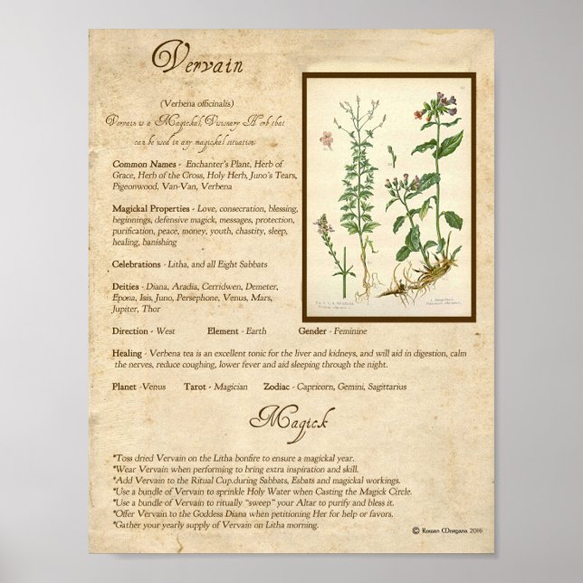 PÓSTER VERVAIN MAGICK HERB (Frente)