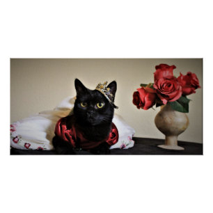 Póster Vestido para a Bola