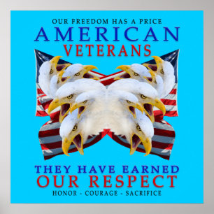 Póster Veteranos americanos