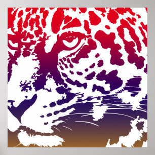 Póster Vetor abstrato - leopardo