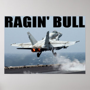 Póster VFA-37 Ragin Bull