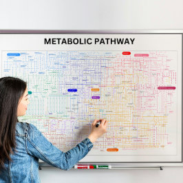 Poster Via metabólica da célula