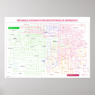 Poster Via metabólica para a síntese de antibióticos