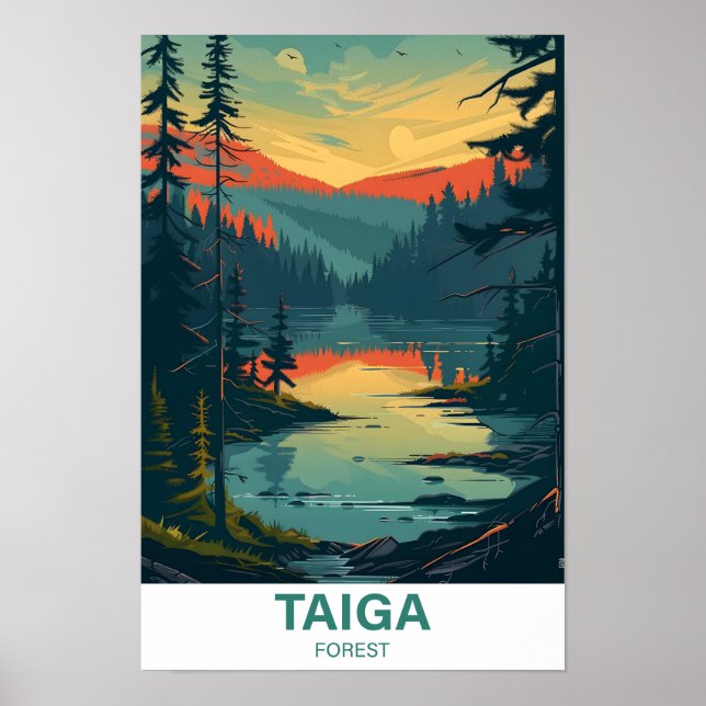 Poster Viagem de Ilustração da Floresta Taiga (Frente)