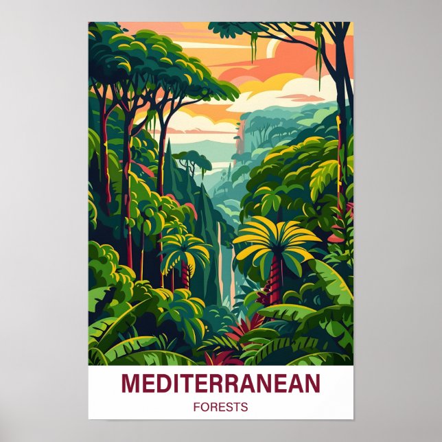 Poster Viagem de Ilustração Florestal Mediterrânica (Frente)
