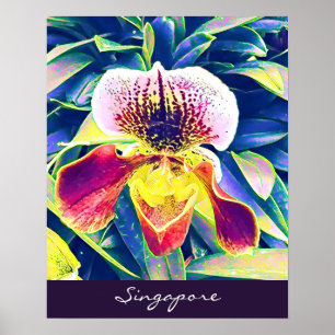Poster viagem de Orquídea de Singapura Sudeste Asiático