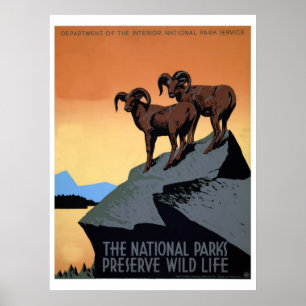 Poster Viagem de WPA dos parques nacionais