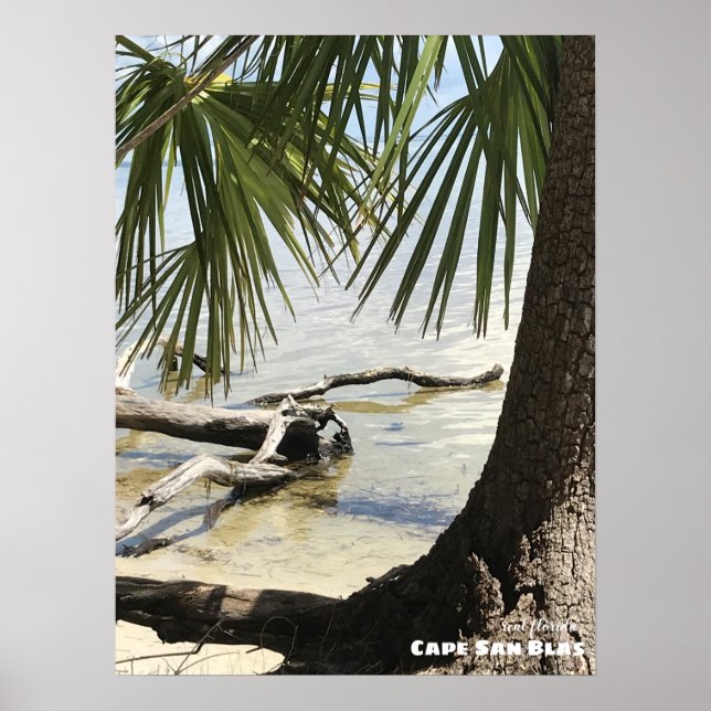 Poster Viagem | Flórida - Cabo San Blas Driftwood (Frente)