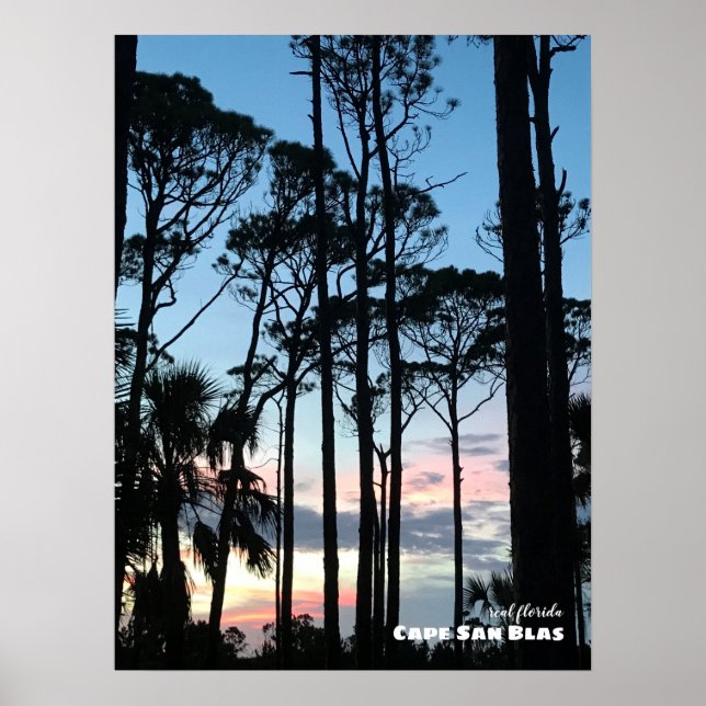 Poster Viagem | Flórida - Cabo San Blas Sunset Pines (Frente)