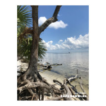 Viagem | Florida - Cape San Blas Beach