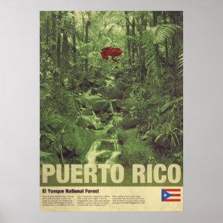 Poster Viagem para Porto Rico: El Yunque