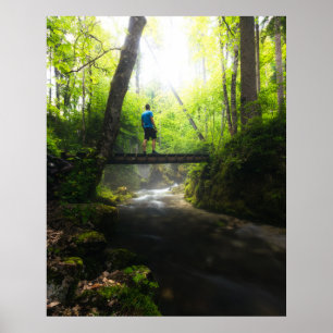 Poster Viagem pela floresta mágica