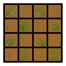 Viagens de Peça de Xadrez, Comparadas (Linhas Verd