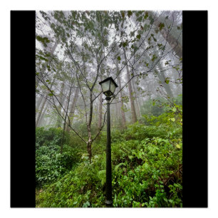 Póster Víberes portugueses