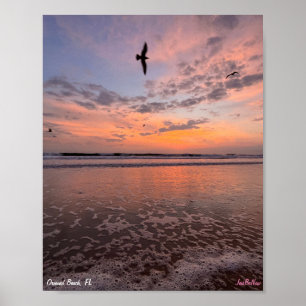 Poster Víblias Costeiras 2023