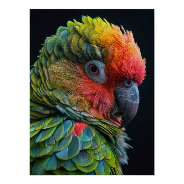 Póster Vibrant Exotic Parrot Color Portrait (Frente)