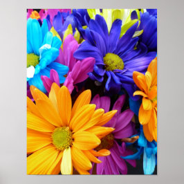 Póster Vibrant Gerbera Daisy Buquê
