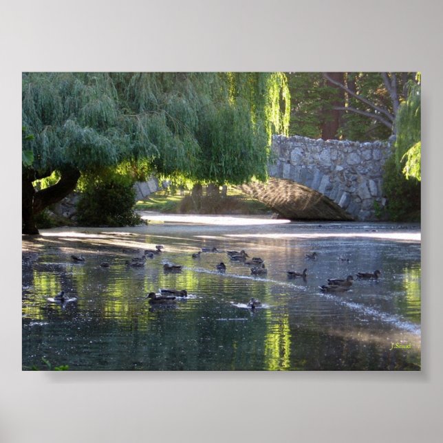 Póster Victoria, B.C. (Frente)