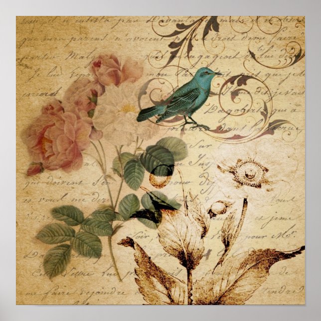 Póster Victorian Rosa Paris Scripts french bird botanic (Frente)