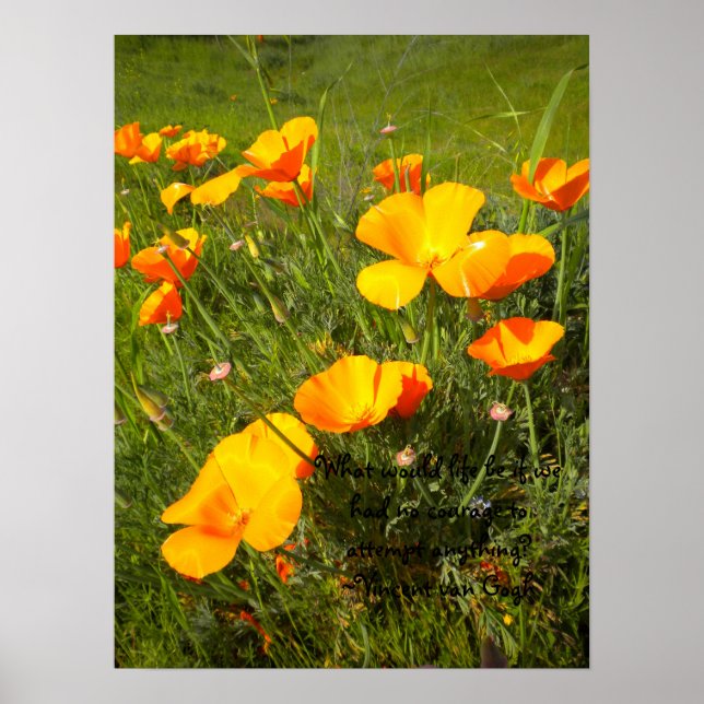 Poster Vida (Frente)