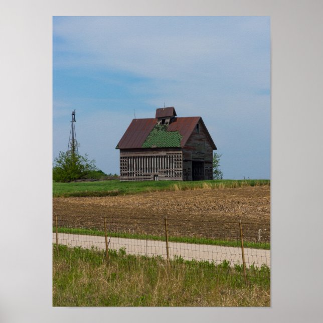 Poster Vida Agrícola em Illinois (Frente)