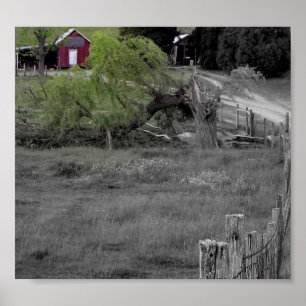 Póster Vida após desastre