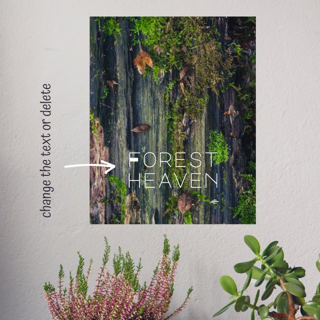 Poster Vida da madeira (Criador carregado)