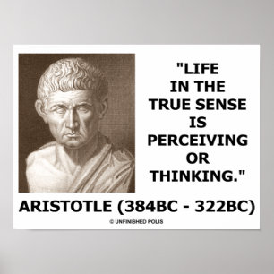 Póster Vida de Aristotle no sentido verdadeiro que
