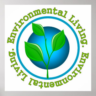 Poster Vida de Environmenal