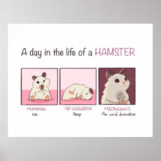 Poster Vida de Hamster
