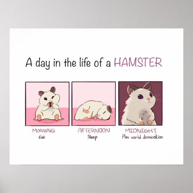 Poster Vida de Hamster (Frente)