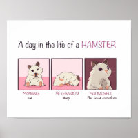 Vida de Hamster