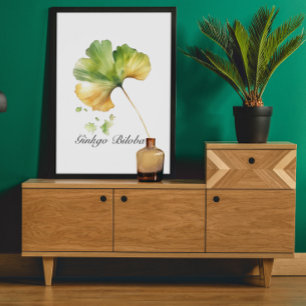 Póster Vida Herbal: Ginkgo Biloba personalizável