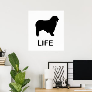 Poster vida pastor australiana