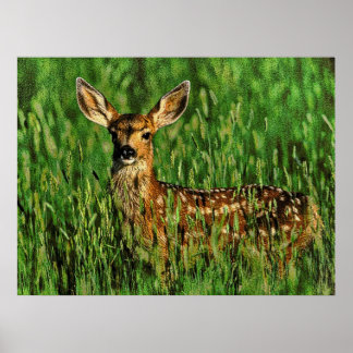 Póster Vida selvagem 11 esbarrada