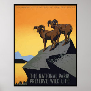 Póster Vida selvagem da conserva dos parques nacionais