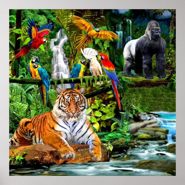 POSTER VIDA SELVAGEM NA FLORESTA TROPICAL (Frente)