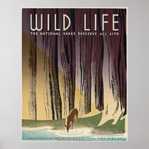 Póster Vida Selvagem - Os Parques Nacionais preservam tod