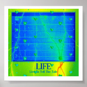 Póster Vida - viva para dizer o conto