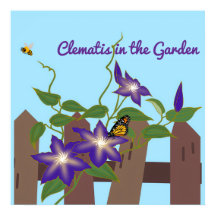 Videira Clematis no Jardim