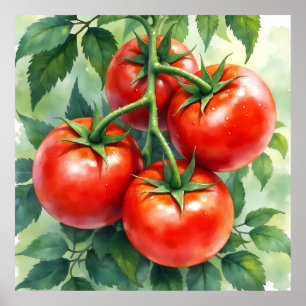 Poster Videira de Tomate Madura Aquarela Fresca