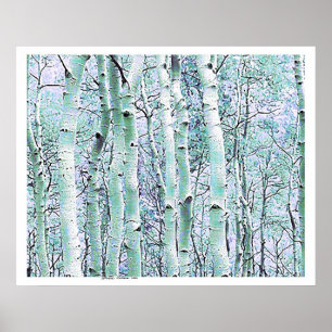 Póster Vidoeiro do inverno