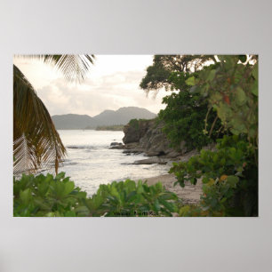 Póster Vieques, Puerto Rico