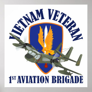 Poster Vietnam Veteran Mohawk