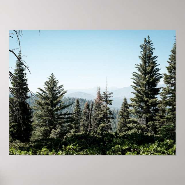 Poster View of Kings Canyon in the Sierra Nevada Forest (Frente)