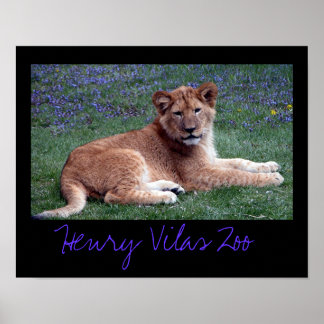 Póster Vilas Zoo Cub